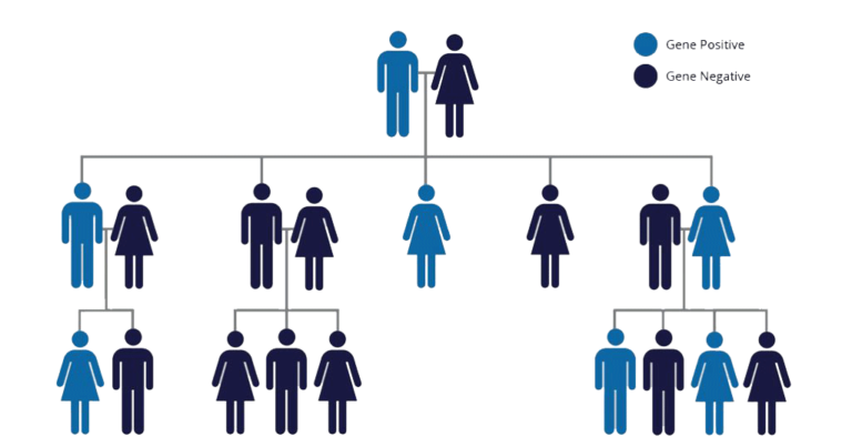 HD inheritance diagram